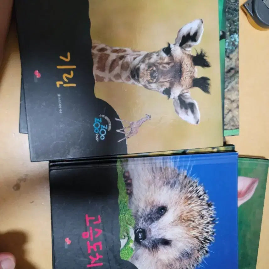 [BUNJANG] Jujupulus Book / 쥬쥬 플러스 책 팝니다
