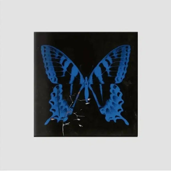 [BUNJANG] Song So Hee Gong Joong Mu Yong (Sealed) CD / 송소희 앨범 공중무용  (미개봉 CD)