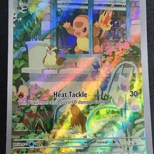 [BUNJANG] North America Wall-Slam Charmander / 북미 벽쿵 파이리