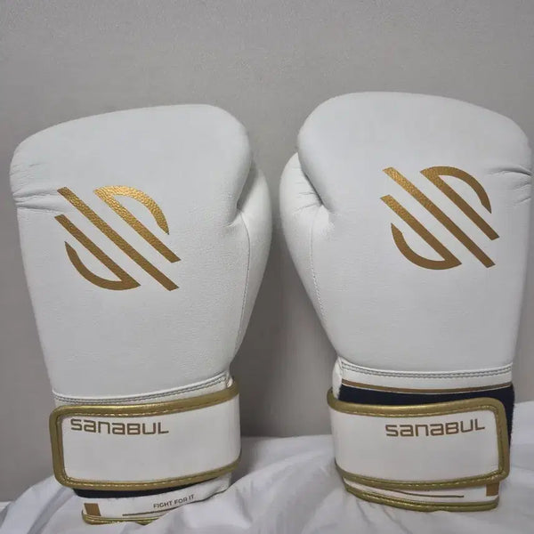 [BUNJANG] Sana Bul 12oz Boxing Gloves / 사나불 복싱글러브