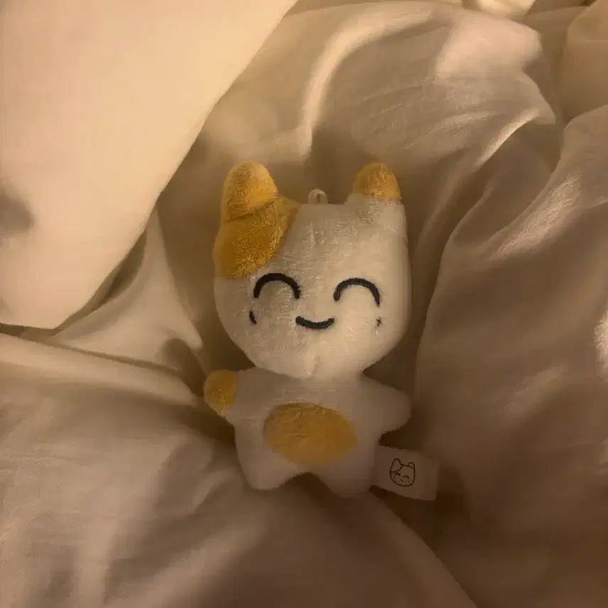 [BUNJANG] NCT Jaehyun SomTtamJ Plush Doll / 엔시티 정재현 솜땀제이 솜땀j