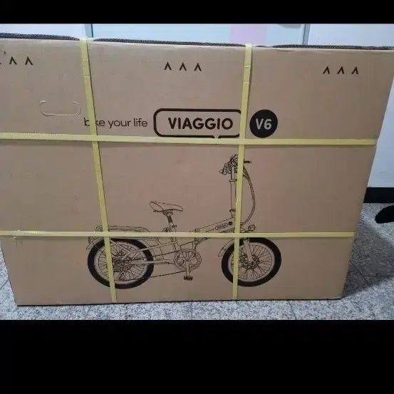 [BUNJANG] Vago V6 Folding Bicycle / 비아지오 V6 접이식 자전거