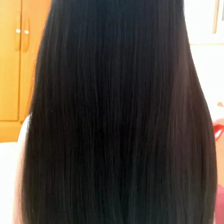 [BUNJANG] Long Straight Hair Full Wig with Hime Cut / 긴 생머리 장발 헤어 통가발 히메컷