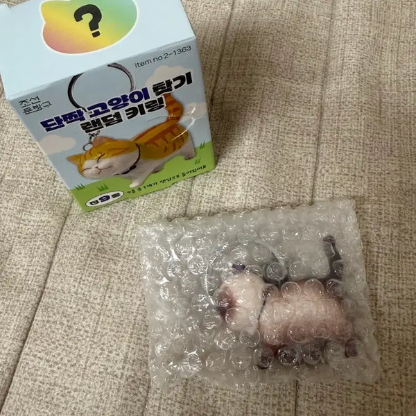 [BUNJANG] Danjjak Cat Random Keyring Siamese / 단짝 고양이 찾기 랜덤 키링 샴