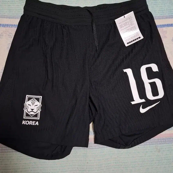 [BUNJANG] Nike South Korea National Team ADV Shorts / 나이키 대한민국 국가대표팀 adv반바지