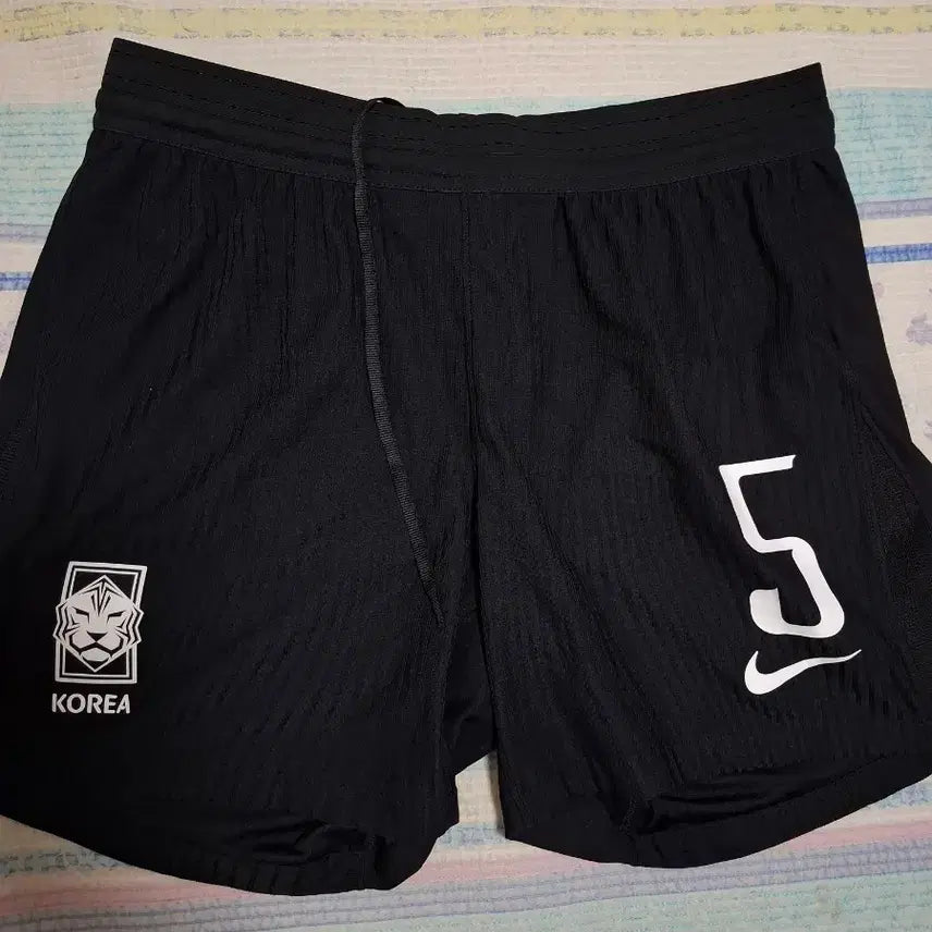 [BUNJANG] Nike South Korea National Football Team ADV Shorts / 나이키 한국 축구 국가대표팀 adv반바지