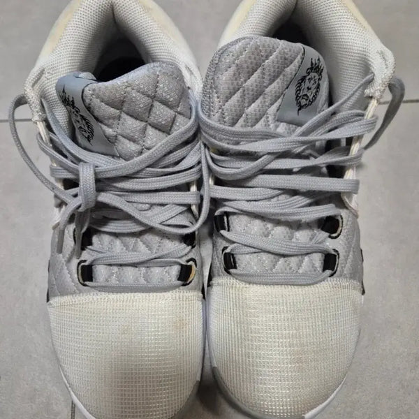 [BUNJANG] Nike LeBron Witness VII Basketball Shoes 275mm / 나이키 르브론 위트니스 VII 농구화 275mm
