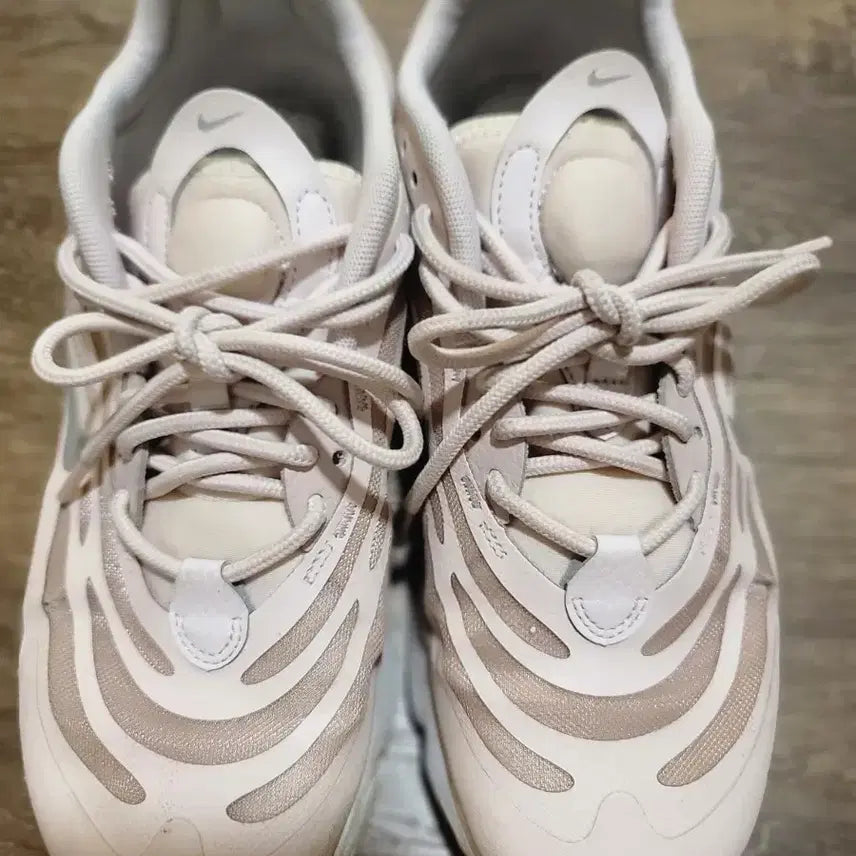 [BUNJANG] Nike Air 250 / 나이키 에어 250