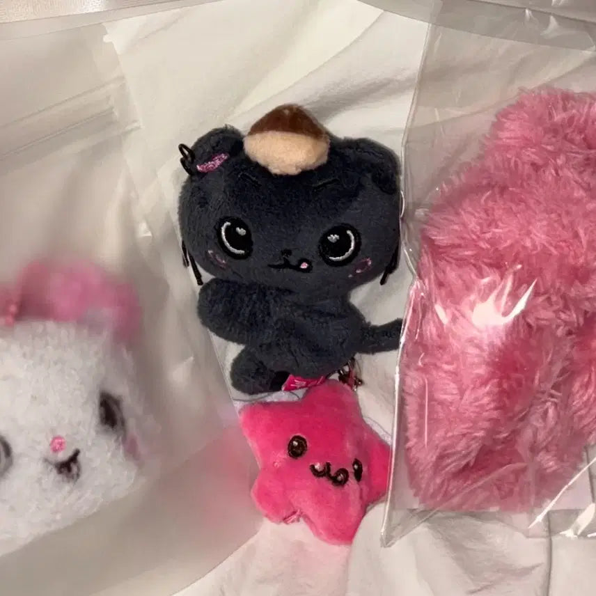 [BUNJANG] Mini Wish Doll Keyring Kuri / 미니 위시돌 키링 쿠리