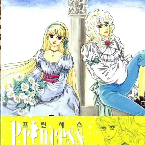 [BUNJANG] Princess Manga Volumes 1-31 / [만화책/중고]프린세스 1~31권/무료배송