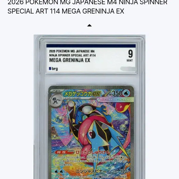 [BUNJANG] Pokemon TCG Korean Near Mint+ Bulk Lot / 급처 일괄로 팔아요(가격제시 받음)