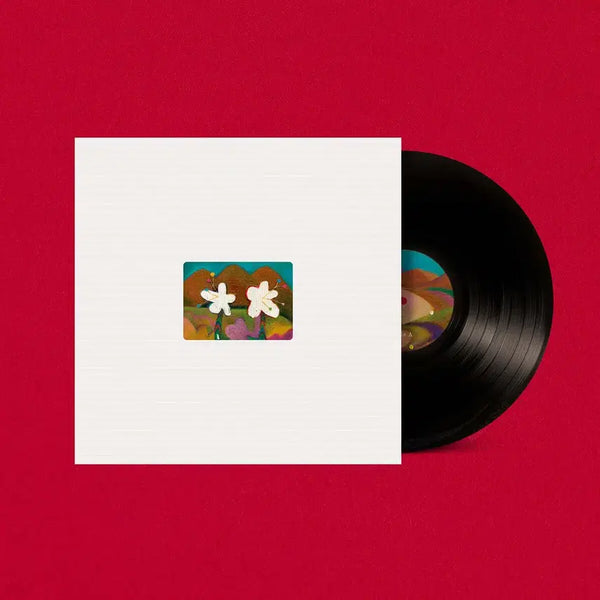 [BUNJANG] AKMU "Landing" Limited Edition Vinyl LP / 악뮤 개화 lp