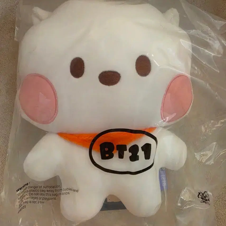 [BUNJANG] BT21 RJ Flat Cushion / BT21 RJ 납작 쿠션 새거