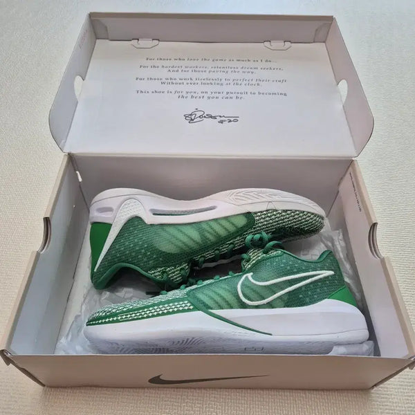 [BUNJANG] Nike Sabrina 1 TB Basketball Shoes (Size 270) / 나이키 사브리나 1TB 270 농구화