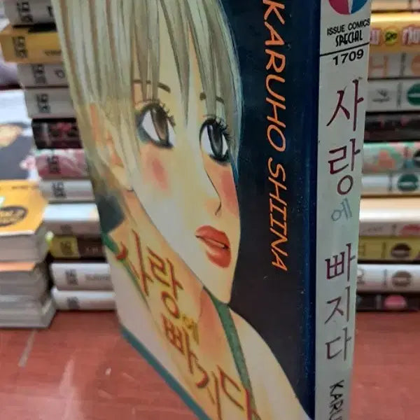 [BUNJANG] Falling in Love (Used Book) / 사랑에 빠지다 /상태(중-표지낡음)/대원