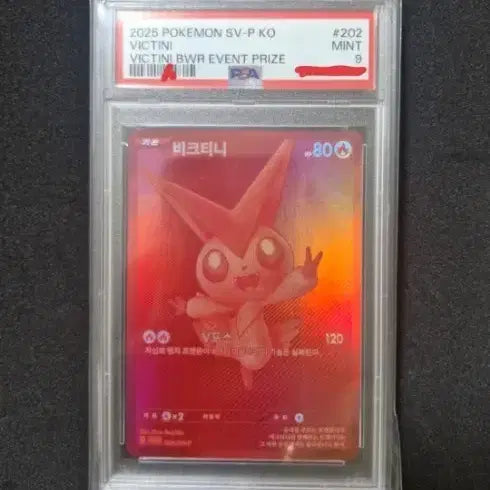 [BUNJANG] Pikachiu BWR PSA 9 Pokemon Card / 피크티니 bwr psa9