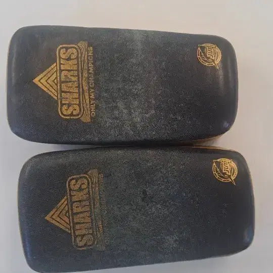 [BUNJANG] Jut Korea Cowhide Kick Mitts Pair (B-Grade) / 소가죽 킥미트 한쌍 B급 주트코리아