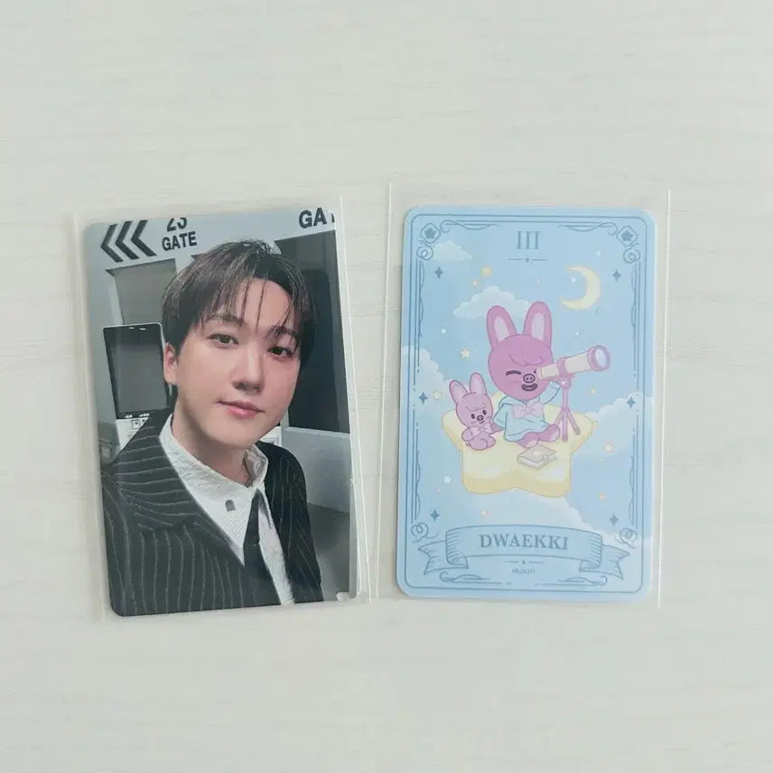 [BUNJANG] Stray Kids Japan 10,000 Yen Lucky Draw Changbin Photocard / 스키즈 재팬 1만엔 특전 창빈 & 생카 행운카드 돼끼 양도