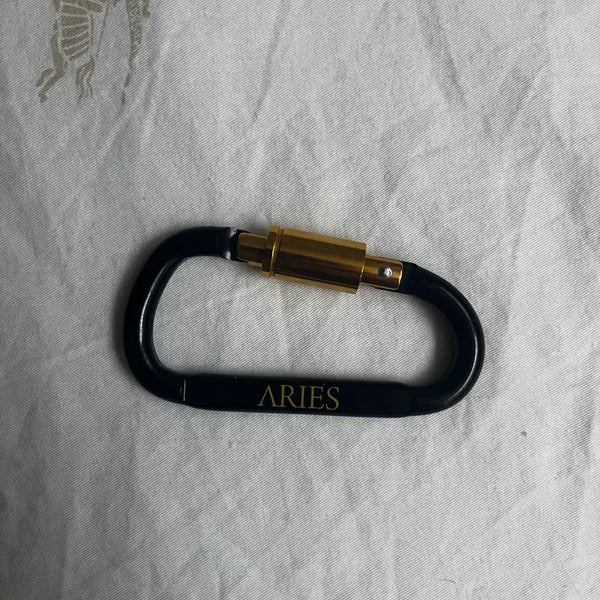 [BUNJANG] Aries Carabiner Keychain / aries 카라비너