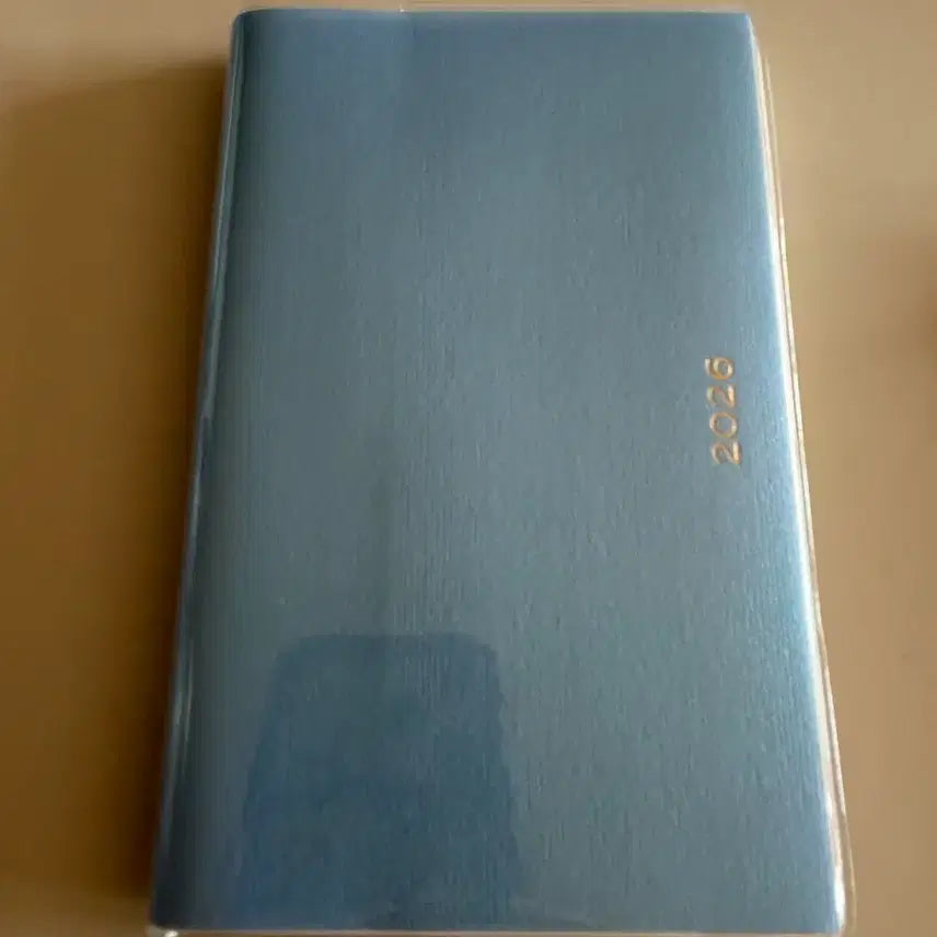 [BUNJANG] PayGem Diary Sky Blue / 페이젬 다이어리 스카이블루