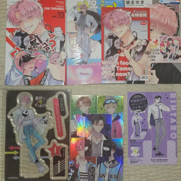 [BUNJANG] Tamon-kun Manga Acrylic Stand Bundle Set / 타몬군 지금 어느쪽 만화책 아크릴스탠드 일괄