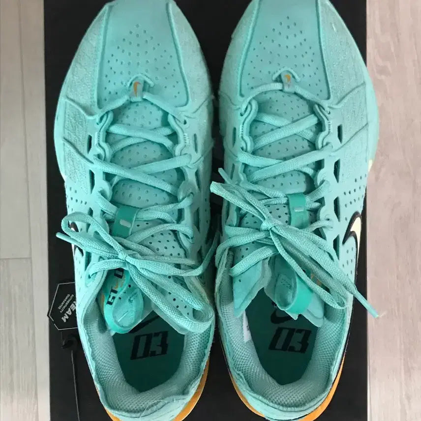 [BUNJANG] Nike Air Zoom G.T. Cut Basketball Shoes / 나이키 에어 줌 G.T. 컷 농구화 265mm (원가 19만원)