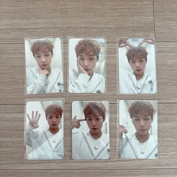 [BUNJANG] Park Ji Hoon Fancon MD Photocard Bundle Set / 박지훈 팬콘 MD 포카 판매합니다(6장 일괄)