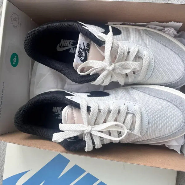 [BUNJANG] Nike Air Force 250 Shoes / 나이키 에어포스 250