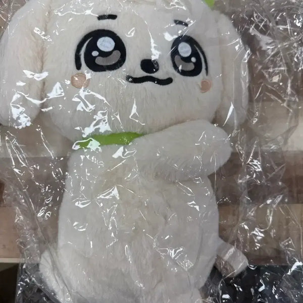 [BUNJANG] IVE Rei Anjo Bag / 아이브 강안지 유진 안아줘가방