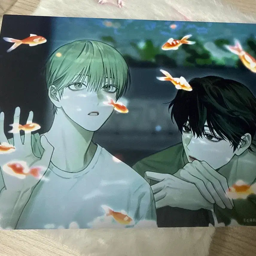 [BUNJANG] Nonzerosum Photobook / 논제로섬 프박