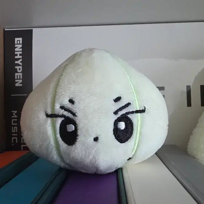 [BUNJANG] ENHYPEN Yang Jungwon Doll / 양파 양정원 인형 엔하이픈 enhypen