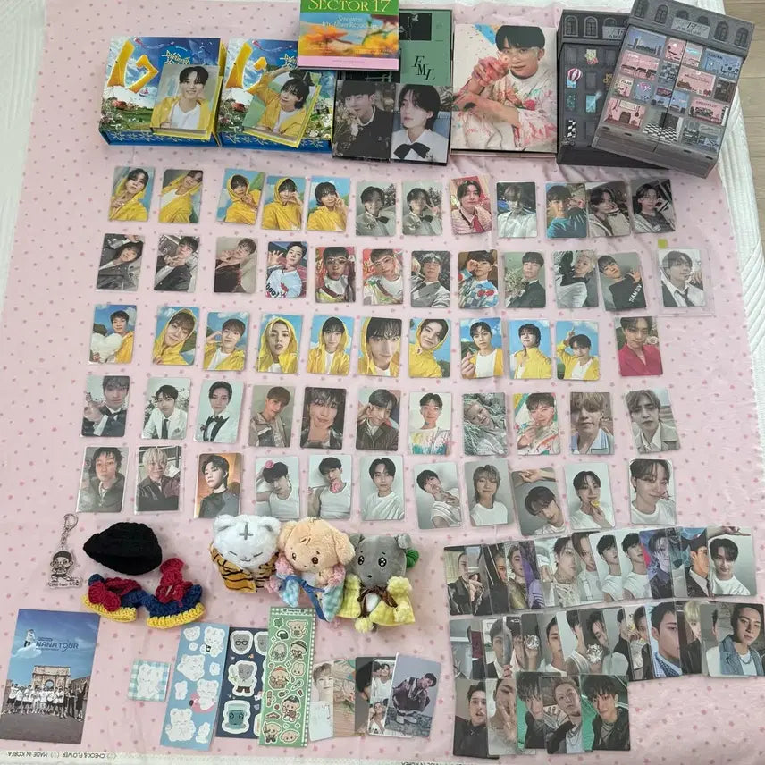 [BUNJANG] SEVENTEEN Bundle Set Photocard & Album / 세븐틴 탈덕 처분 일괄 양도 겸푸 호찌 겸도그 포카 앨범