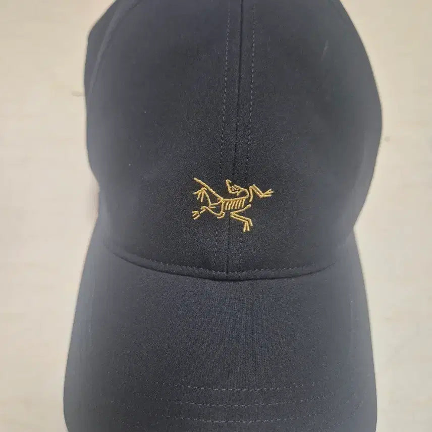 [BUNJANG] Arc'teryx Smallbird Cap / 아크테릭스 스몰버드 등산 모자