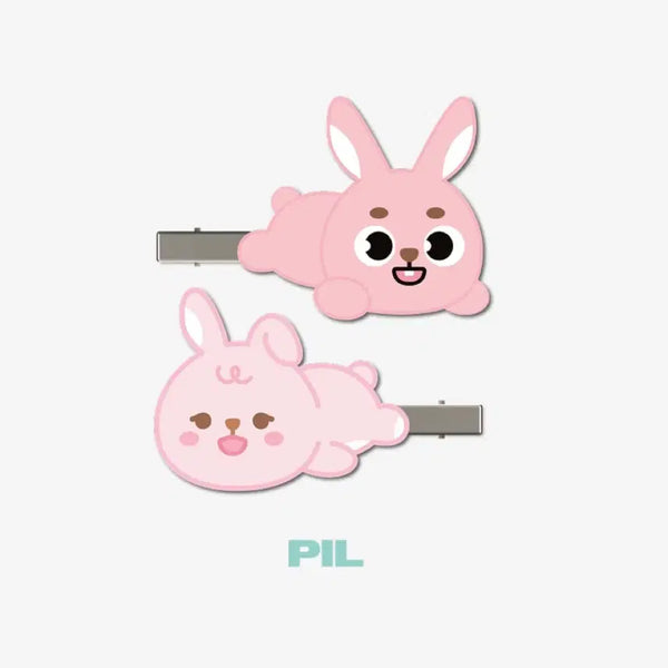 [BUNJANG] DAY6 Nationwide Tour MD Wonpil Hairpin Set (Sealed) / 데이식스 전국투어md 원필 헤어핀세트 미개봉새상품