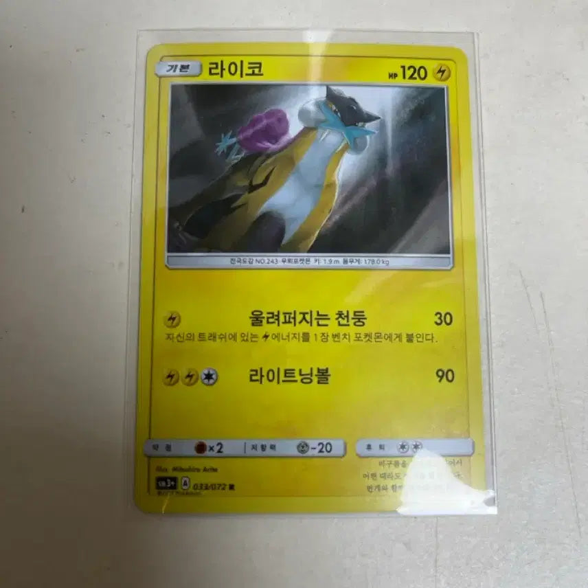 [BUNJANG] Pokemon Raikou Holo Trading Card / 포켓몬 카드 라이코 홀로그램 (제시 받음)