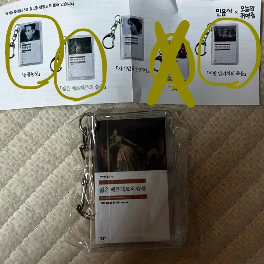 [BUNJANG] The Sorrows of Young Werther Keychain / 젊은 베르테르의 슬픔 키링 민음사 서국도