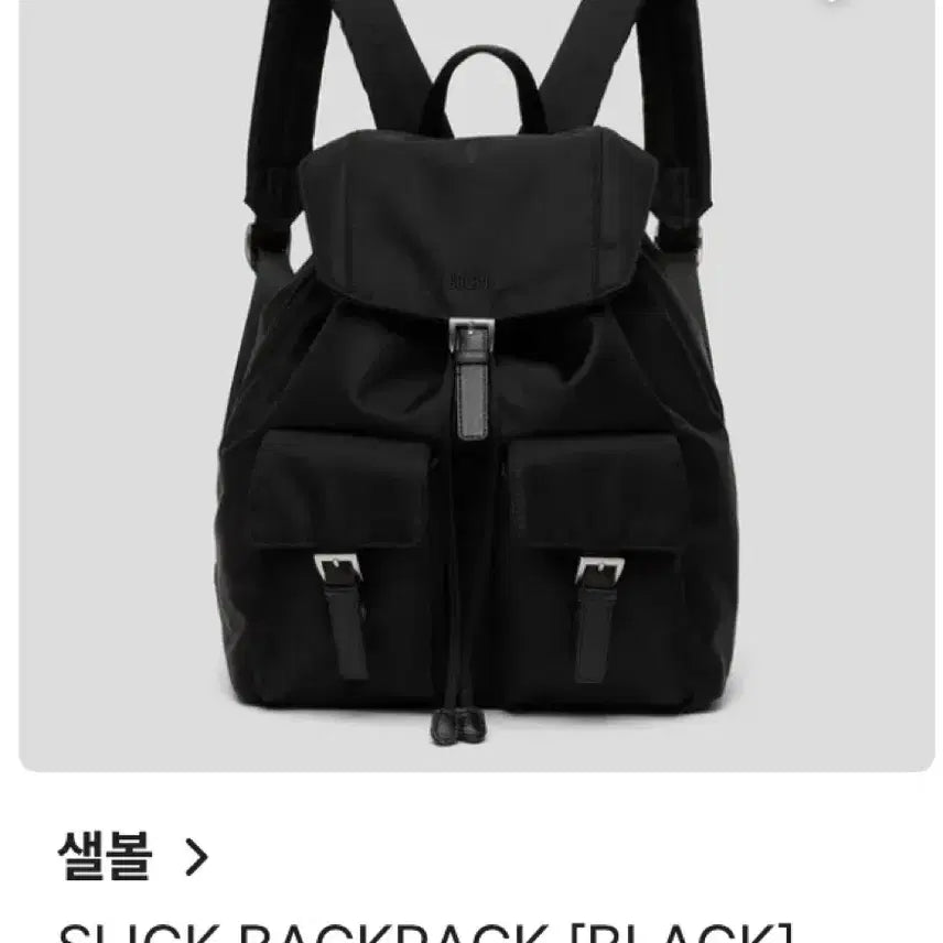 [BUNJANG] Seoul Look Slick Backpack / 샐볼 슬릭 백팩