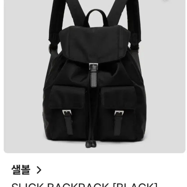 [BUNJANG] Seoul Look Slick Backpack / 샐볼 슬릭 백팩