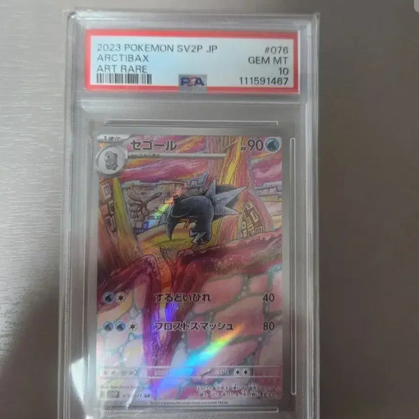 [BUNJANG] Pokemon Card ARCTIBAX 076 Japanese PSA 10 Graded / 드니꽁 AR PSA10 일어 등급카드