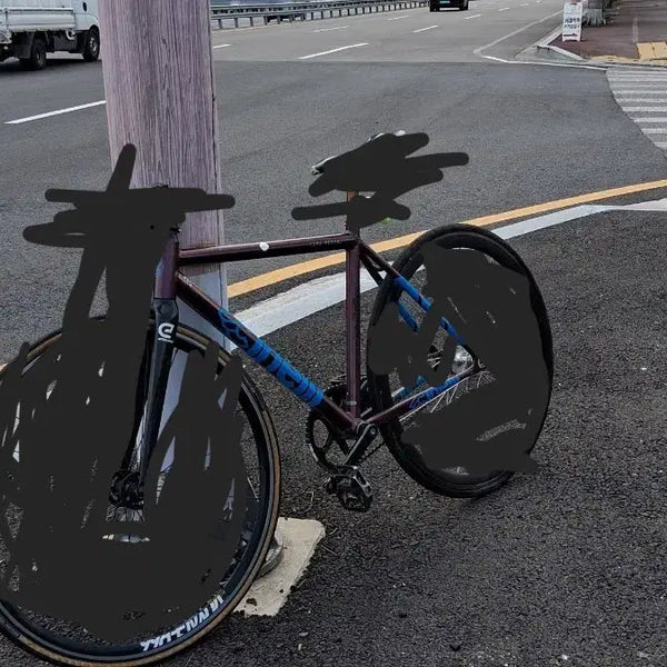 [BUNJANG] Cinelli Tipo Pista Frame / 치넬리 티포 피스타 급처