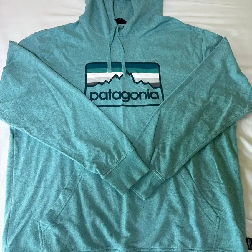 [BUNJANG] Patagonia Logo Hoodie / 파타고니아 휴드