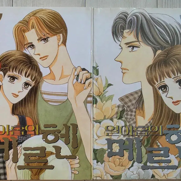 [BUNJANG] Han Seungwon 'The 19th Fairy Tale' Comic Book Set / 한승원작가님 열아홉의 메르헨 만화책 판매합니다.