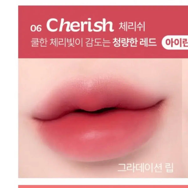 [BUNJANG] 2aN Fluffy Blur Tint 06 Cherish / 투에이엔 플러피 블러 틴트 06호 체리쉬