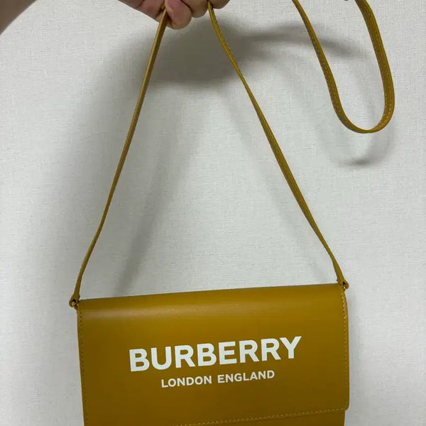 [BUNJANG] Burberry WOC Bag Calfskin Leather / 버버리 woc 가방 새제품