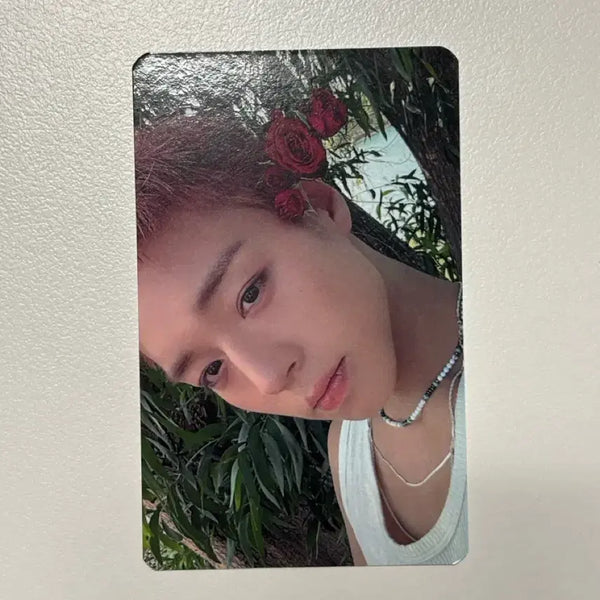 [BUNJANG] Park Jihoon Reflect Interasia POB Photocard / 박지훈 리플렉트 인터아시아 특전 미공포 포카 포토카드