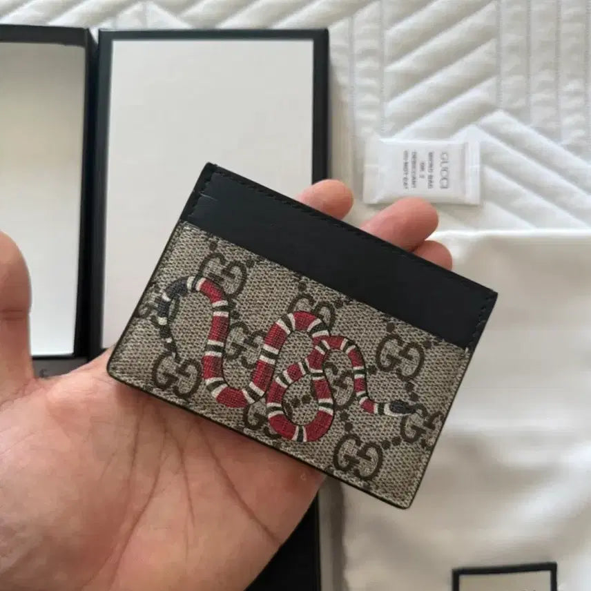 [BUNJANG] Gucci Snake Card Holder / 구찌 스네이크 카드지갑