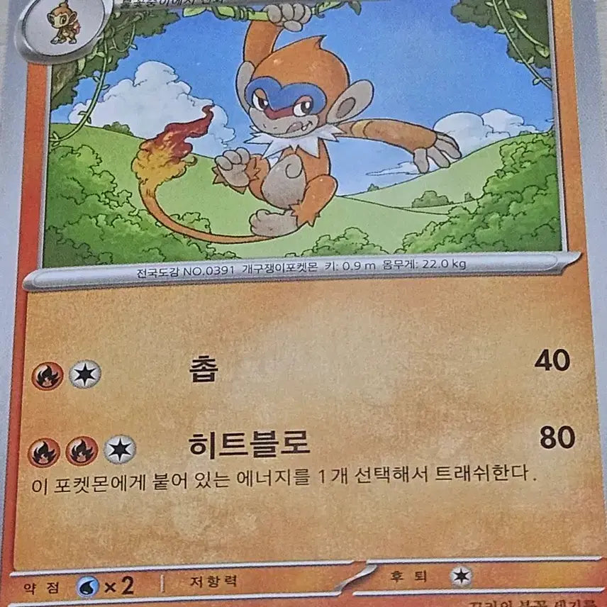 [BUNJANG] Pokemon TCG Torracat & Incineroar Set / 포켓몬 카드 불꽃숭이, 파이숭이 세트 [10%할인]