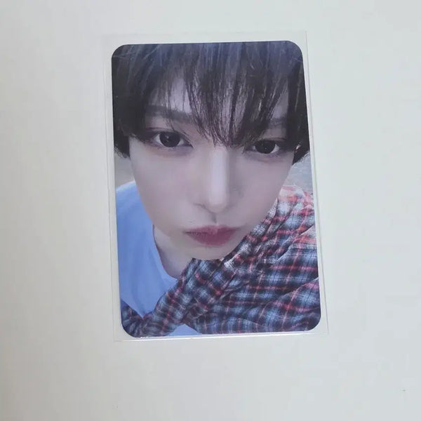 [BUNJANG] Zhang Hanwen Fanmeeting Photocard / 장한음 친떨 공방포카 장한음 포카 양도
