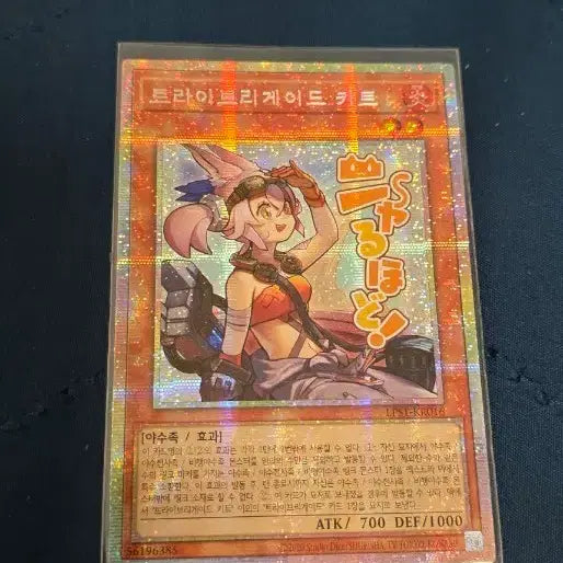[BUNJANG] Yu-Gi-Oh! Trive Gate Kit First Edition / 유희왕 트라이브리게이트 키트 프싴 팝니다