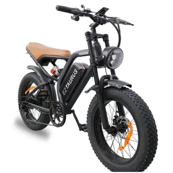 [BUNJANG] E-Vation BS Slick Electric Scooter (Throttle Model) / 이지베이션 / BS슬릭 / 자토바이 팝니다